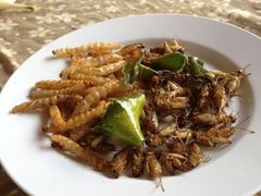 送的虫子，没有吃-Dash Teak House