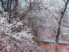 -阳台山自然风景区