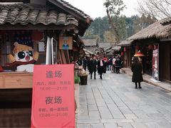 -秀丽东方