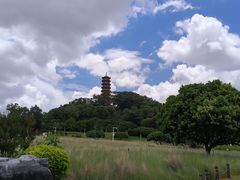 -红花山公园