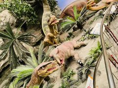 -国家自然博物馆