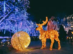 -金逸影城(中关村店)