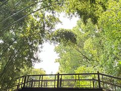 -同里国家湿地公园