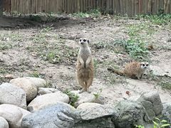 -上海野生动物园