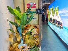 -泰妃殿(宏伊国际广场店)