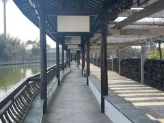 -游龙石文化科普馆