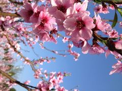 云顶石城风景区-金堂县云顶石城风景区