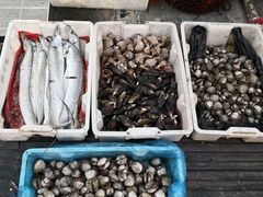 -芦潮港集贸市场