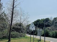 -同里国家湿地公园