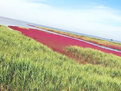-红海滩国家风景廊道