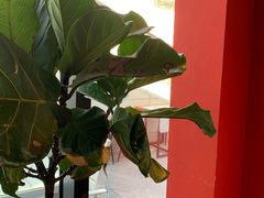 -成都娃娃花园餐厅 (南艺旗舰店)