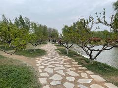 -西安浐灞国家湿地公园