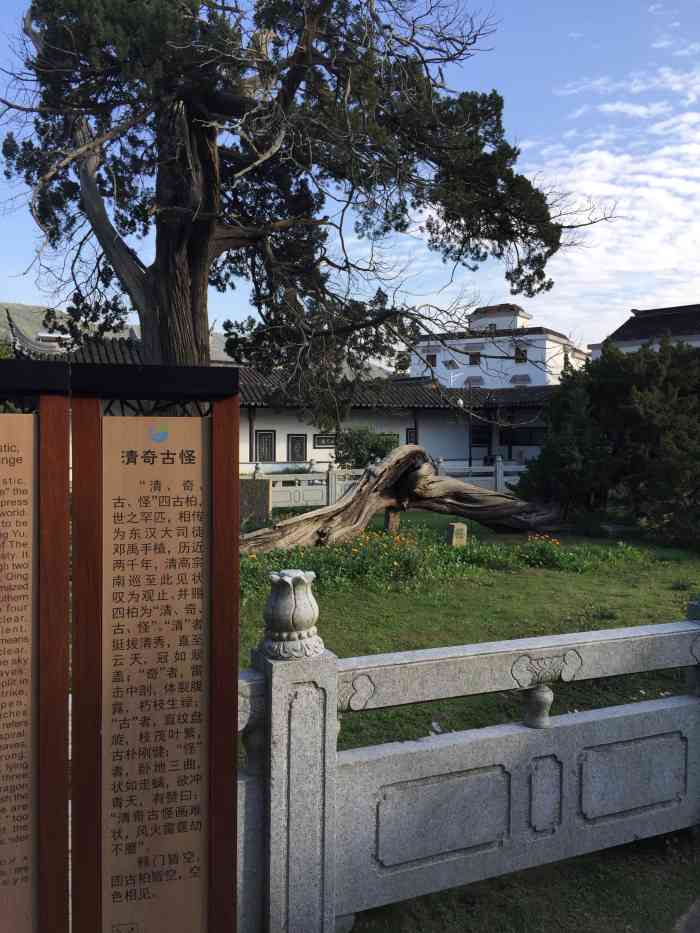 司徒庙-"门票不记得多少钱了,反正是看梅花的时候一."-大众点评移动版