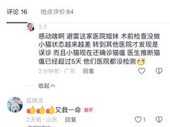 -瑞派雷欧宠物医院·24h夜诊·心脏骨科牙科·全科重症转诊中心(无影山店)