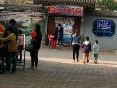 -迎泽公园