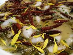 老坛酸菜鲈鱼-首秀·四川料理(星耀101店)