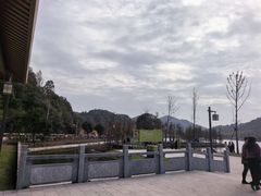 -千年银杏谷文化旅游区