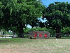 -万绿园