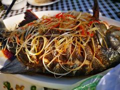 -特种渔场