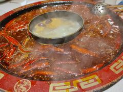 红白鸳鸯-骉骉老火锅(铁像寺路店)