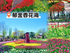 -国家植物园