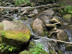 -汤旺河林海奇石景区