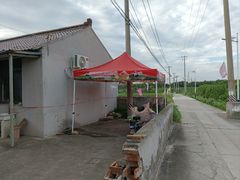 -南汇水蜜桃采摘(大团店)