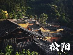 -杨家堂村