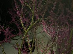 -水乡·印象咖啡馆(周庄店)