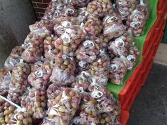 -百果园(奕淳公寓店)