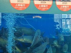 -淘米捞·米汤脆鲩鱼火锅(福田皇岗店)
