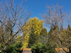 -成都驻京办餐厅(蜀都宾馆店)