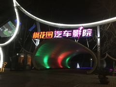 -枫花园汽车电影院(朝阳公园店)