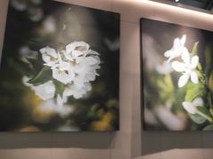 -奈雪的茶(赛格店)