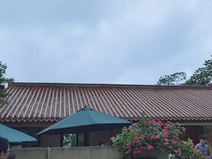 -缙云山景区