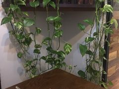 -梁子刨冰王(鞍山西道店)