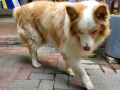 -豆舞咖啡(民乐路店)