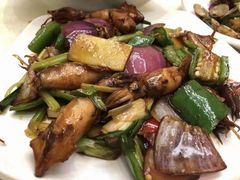 酱爆鱿鱼-吉源大排档·鱼生·海鲜(烧烤彩印厂店)