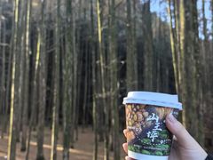 -山王坪喀斯特国家生态公园