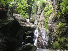 -牛背梁国家森林公园