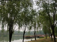 -东郊湿地公园