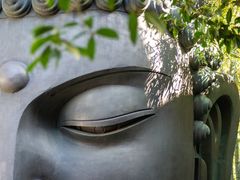 -杭州植物园