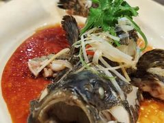 石斑鱼-T11生鲜超市(朝阳公园店)