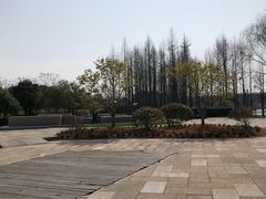 -尚贤河湿地