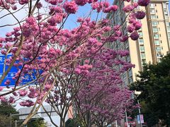 -深圳野生动物园