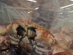 -盒马X会员店(上海森兰商都店)