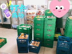 -扬大康源乳业鲜奶吧(大学北路店)