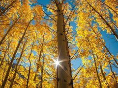 -北京银行(芍药居支行)