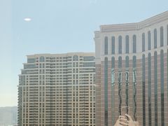 -澳门威尼斯人综合度假区