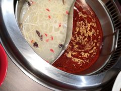 -季季红火锅(动壹店)